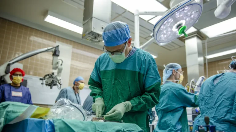 Brain implant startup Paradromics completes its first human demonstration, inserting and removing the device into an epileptic patient
