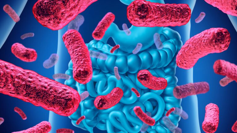 Intestinal Bacteria Influence Aging of Blood Vessels